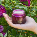 DOLOMIA Rose Therapy Abs. Anti-Aging Creme reichh.